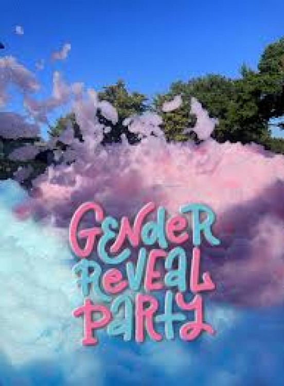 Gender Reveal Parties Gender Reveal Parties